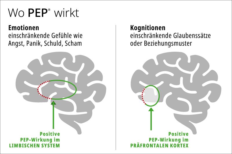 Wo wirkt PEP